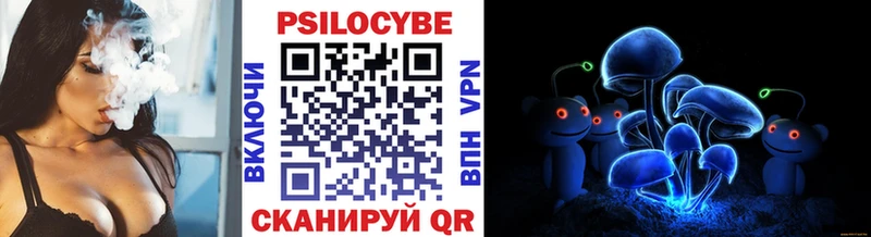 закладки  Ижевск  Галлюциногенные грибы Psilocybe 
